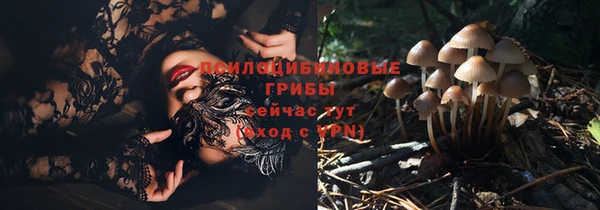 Альфа ПВП Абаза