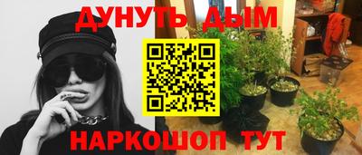 гашик Нарткала