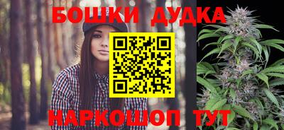 крисы Котовск