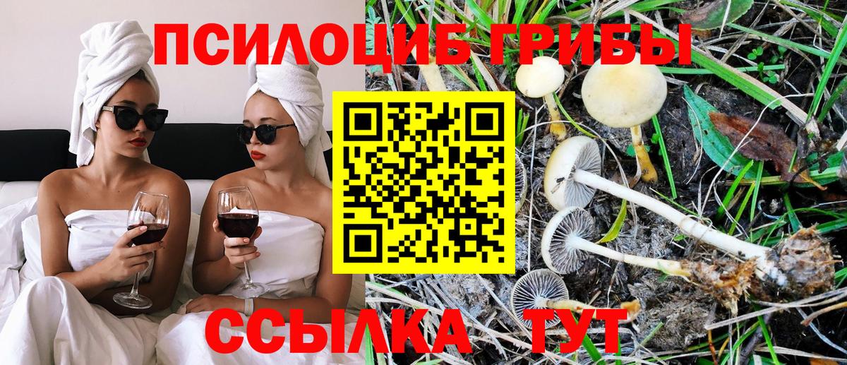 Шадринск  Галлюциногенные грибы Cubensis  Вход с VPN  Галлюциногенные грибы GOLDEN TEACHER 